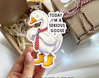 Serious Goose Sticker, Silly Goose Sticke
