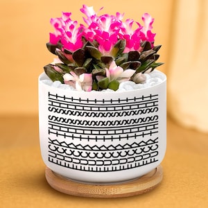 May include: A potted succulent with vibrant pink flowers and dark green leaves. The white ceramic pot features a black geometric pattern and sits on a small wooden saucer. The plant is surrounded by white pebbles.