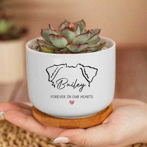 May include: A white ceramic planter with a succulent plant. The planter features a black outline of a dog's face, the name "Bailey", and the text "FOREVER IN OUR HEARTS" with a small pink heart. The planter sits on a wooden coaster.