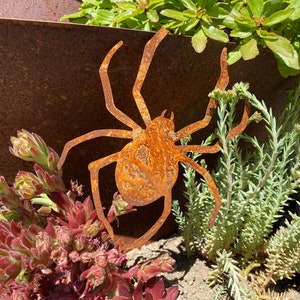 Könnte beinhalten: Eine rostige Metall-Spinnen-Silhouette als Gartendekoration. Die Spinne ist in einem Topf mit grünen Sukkulenten platziert.