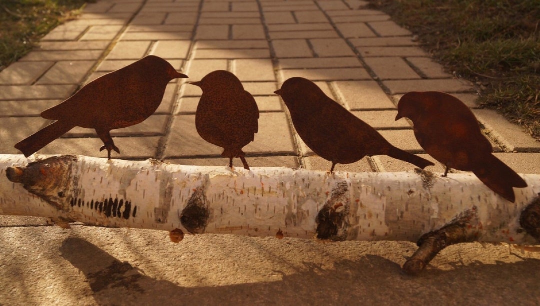 Rust Birds All Colored Rust 4-piece Rust-finished Birds With Screw Thread for Crafts, Garden ...