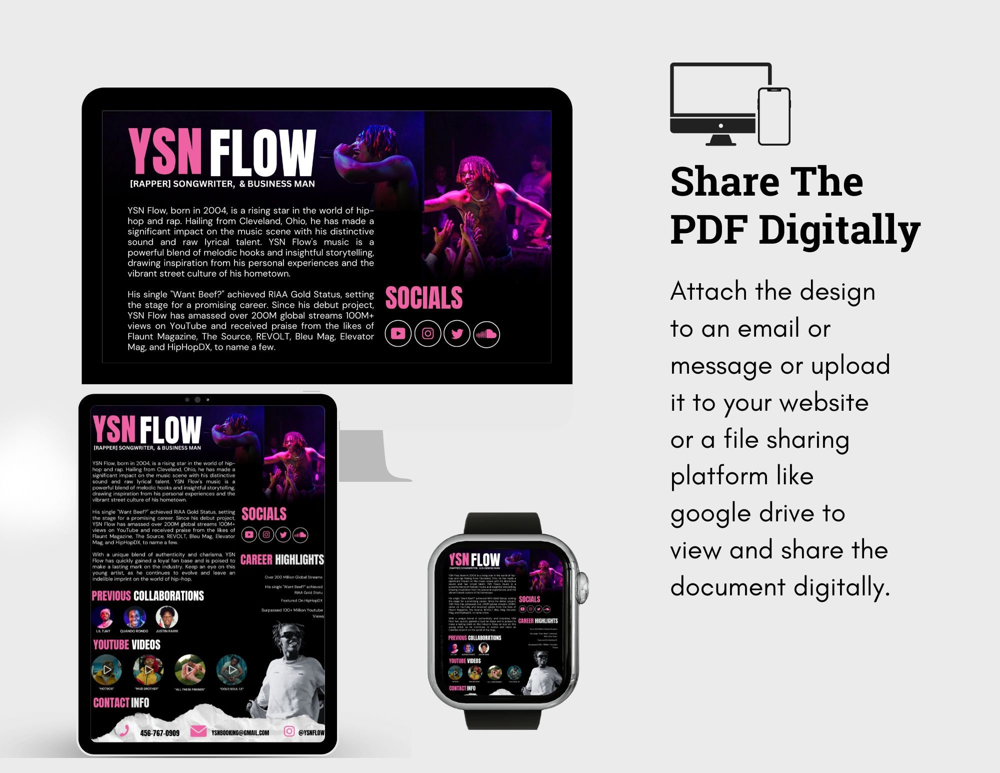 Electronic Press Kit Media Kit Template for Musicians Press Kit for