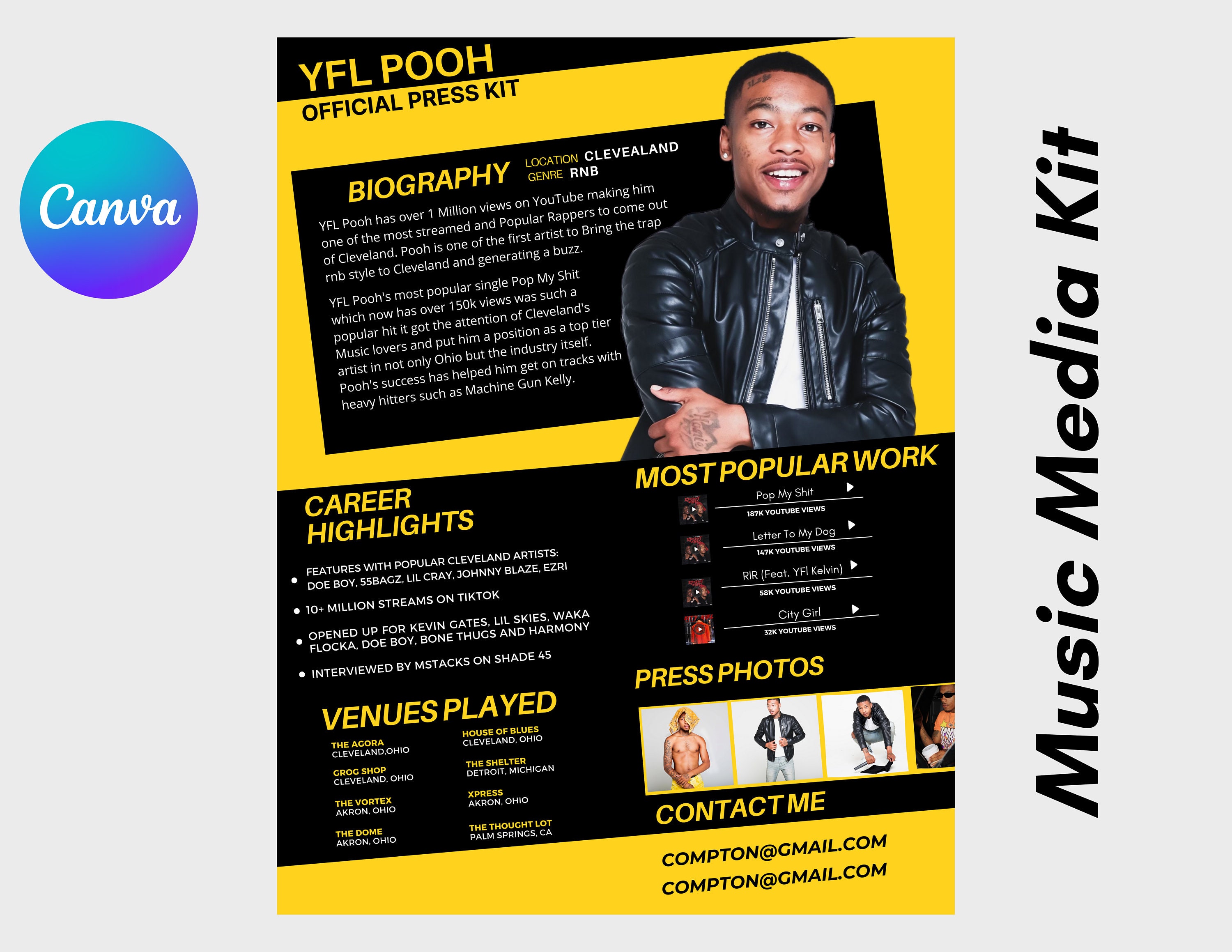 Electronic Press Kit Media Kit Template For Musicians Press Kit For 