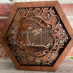 Observation Hive Decor