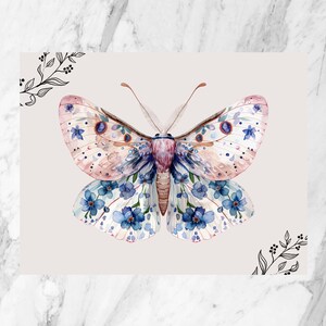 Carte postale de papillon de nuit| carte postale pour elle | postale illustrée | Carte postale insecte| Belle carte postale