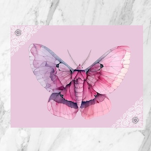 Carte postale de papillon de nuit| carte postale pour elle | postale illustrée | Carte postale insecte| Belle carte postale