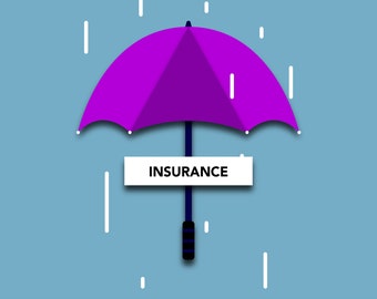 Domestic Insurance USA || Add on insurance to cover shipping damage and lost orders || Covers up to 99 dollars per dollar purchased