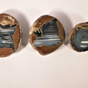May include: Three agate slices with brown, white, and blue banding. The agate slices are polished and have a natural, irregular shape.
