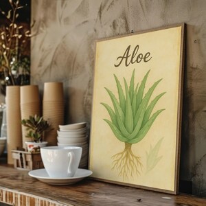 Aloe Vera Plant Digital Art, Medicinal Herb Illustration Print, Botanical Wall Decor, Healing Plant Artwork, Vintage Style Image Digital