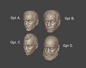 1:12 Clone Trooper Fordo and others Head sculpt Pack nonpainted Black Series 3D printed