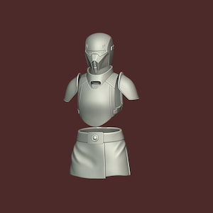 Könnte beinhalten: Ein graues, futuristisch aussehendes Torso- und Helmset. Der Helm hat ein Visier und ein detailliertes Design. Die Torso-Rüstung hat Schulterpolster und eine Brustplatte. Der untere Teil ähnelt einem Rock mit einem kreisförmigen Knopf.