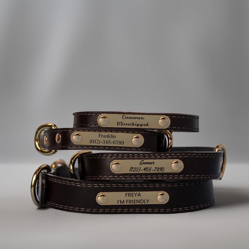 May include: Four stacked brown leather dog collars with gold-colored hardware. Each collar has a gold nameplate with engraved text: "Cinnamon Microchipped", "Franklin (012)-345-6789", "Gunner (123)-456-7890", and "FREYA I'M FRIENDLY".