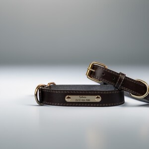 May include: Two brown leather dog collars with gold-colored hardware. One collar is in focus, displaying a nameplate with the name "Saturn" and a phone number. The collars have white stitching.