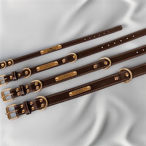 May include: Four brown leather dog collars with gold-colored hardware and nameplates. Each collar has a buckle, a D-ring, and a nameplate with engraved text. The collars are arranged diagonally against a light blue background.