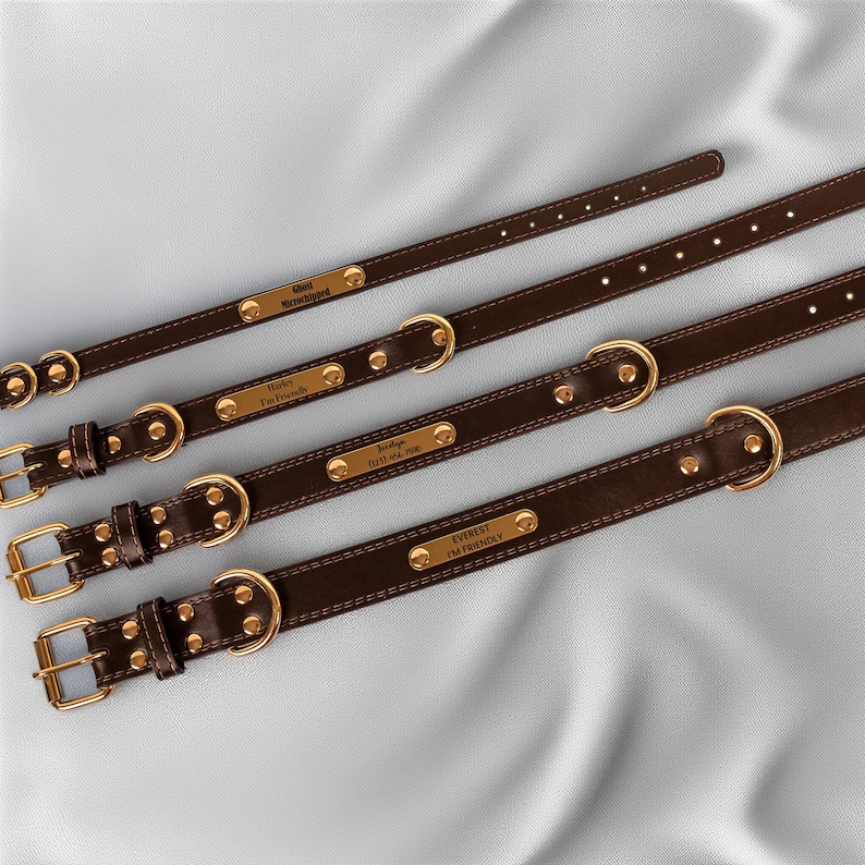 May include: Four brown leather dog collars with gold-colored hardware and nameplates. Each collar has a buckle, a D-ring, and a nameplate with engraved text. The collars are arranged diagonally against a light blue background.