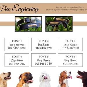 May include: The image showcases personalized dog collars with free engraving. The collars are black leather with gold-colored hardware. The image also displays font options for customization, including the dog's name and phone number.