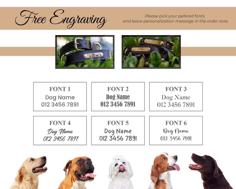 May include: The image showcases personalized dog collars with free engraving. The collars are black leather with gold-colored hardware. The image also displays font options for customization, including the dog's name and phone number.