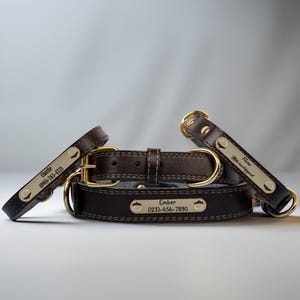 May include: Three brown leather dog collars with gold-colored hardware and nameplates. The collars have stitched detailing and include the names "Ember", "Charlie", and "Flora Microchipped" with phone numbers. The collars are displayed on a light gray background.