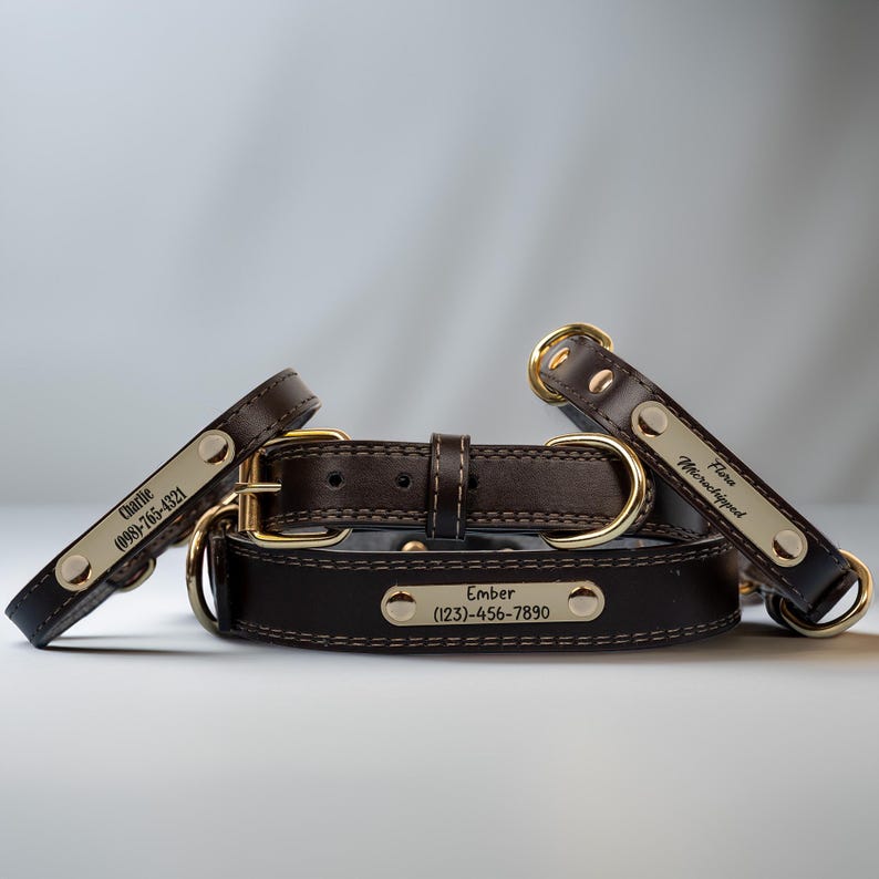 May include: Three brown leather dog collars with gold-colored hardware and nameplates. The collars have stitched detailing and include the names "Ember", "Charlie", and "Flora Microchipped" with phone numbers. The collars are displayed on a light gray background.