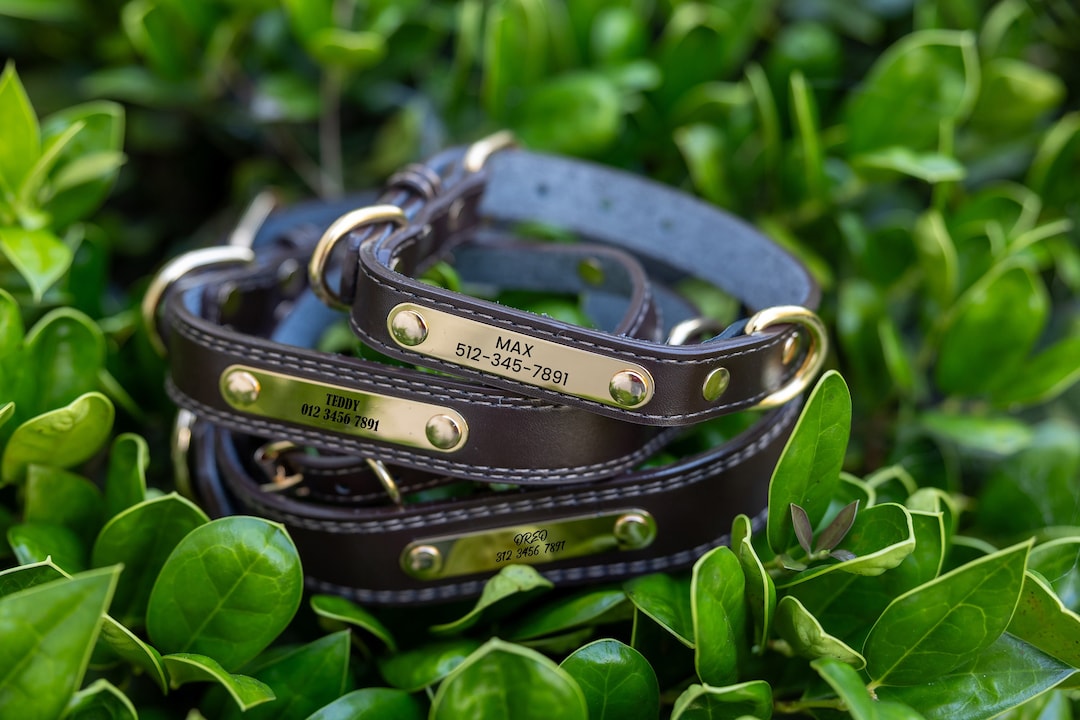 Leather Dog Collar, Personalized Dog Collar, Personalized Leather Dog ...