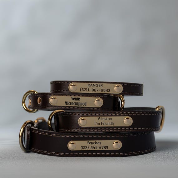 Leather Dog Collar, Personalized Dog Collar, Personalized Leather Dog Collar, Engraved Leather Dog Collar, Custom Dog Collar with Name Plate