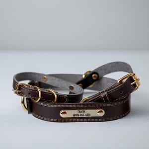 May include: A dark brown leather dog collar with gold-colored hardware and white stitching. The collar has a nameplate with the name "Charlie" and a phone number. The collar is layered with a gray felt collar.