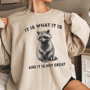 Funny Raccoon Shirts Trash Panda Shirt, It Is What It Is And It Is Not Great Shirt, Raccoon Gift, Funny Tee, Meme Sweatshirt, Vintage Shirt