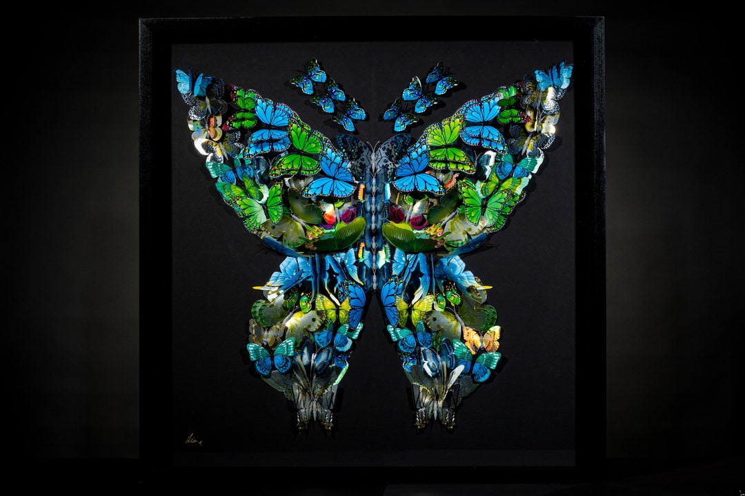 Wall Art 3D Art Blue Butterfly Wall Art Framed Art Etsy
