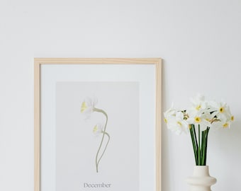 December Birth Flower Print: Narcissus Nursery Art