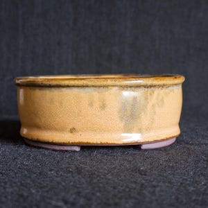 May include: A handmade ceramic bonsai pot. The pot is a low, oval shape with a light orange glaze and a darker rim. The base has a subtle purple hue. This pottery is suitable for small plants and adds a touch of natural beauty.