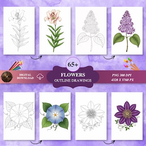 May include: Digital download of flower outline drawings. The image shows a collection of floral illustrations, some coloured and some in black and white. The drawings include lilies, lilacs, morning glories, and clematis. The image also includes text that says "65+ Flowers Outline Drawings".