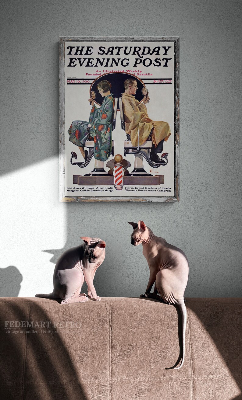 May include: Two hairless cats sit on a brown couch in front of a framed vintage magazine cover. The magazine cover is for "The Saturday Evening Post" and features a couple getting a haircut. The magazine cover is dated May 10, 1930.