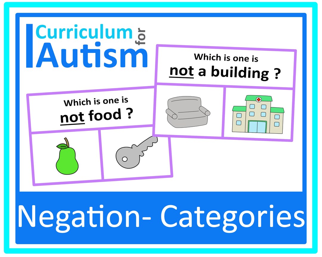 Negation Category Picture Clip Cards Autism Special Education - Etsy