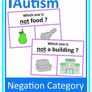 Negation Category Picture Clip Cards Autism Special Education
