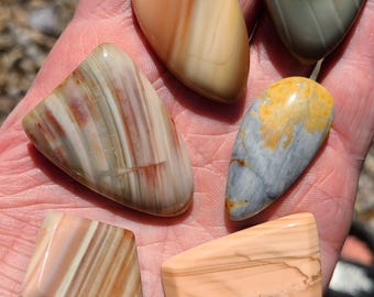 New Mexico Jasper Discovery – 6 Piece Cabochon Set | Ribbon, Pastel & Sage Varieties | Rare New Locality