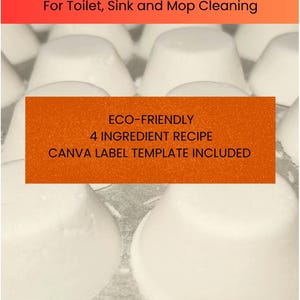 DIY Cleaning Tablet Recipe | Eco-Friendly Home Cleaning (PDF + Canva Label)