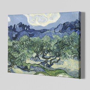Vincent Van Gogh&#39;s Olive Trees With The Alpilles In The Background Canvas Art Print