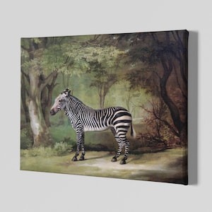 Zebra By George Stubbs Canvas Art Print