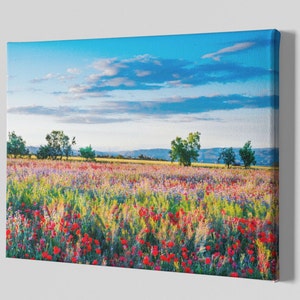 Red Poppy Field Canvas Art Print
