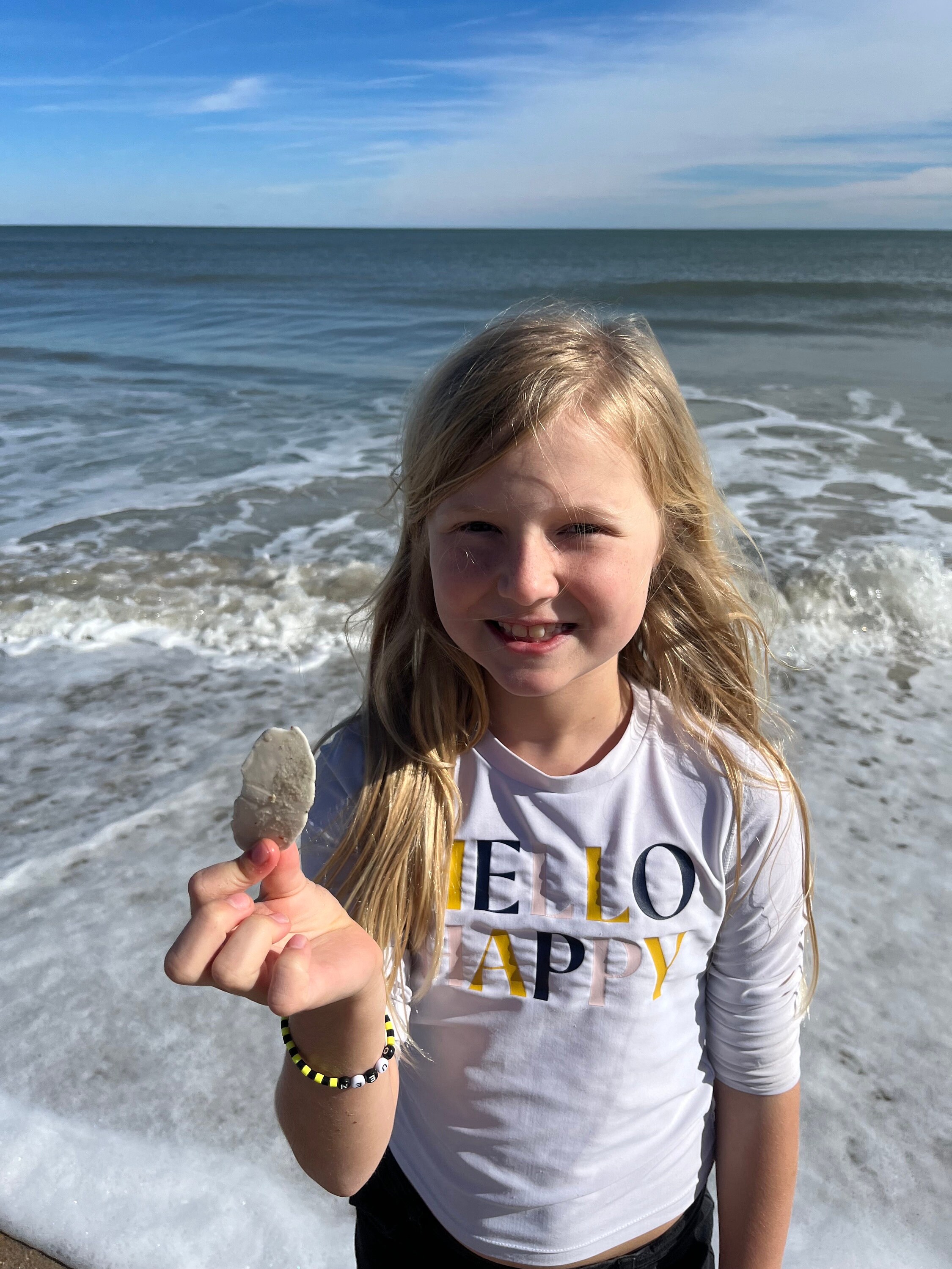 Small Coquina Purple Cream Seashells Bulk Seashell Natural Sea Shell