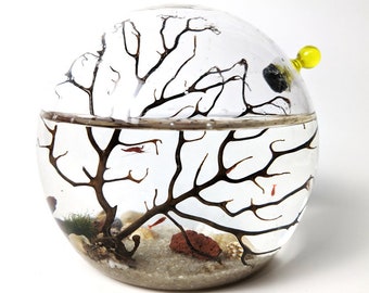 Self Sustaining Ecosphere (completely sealed)