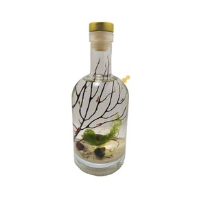 Enclosed Ecosphere bottle, houses 5-6 opae ula