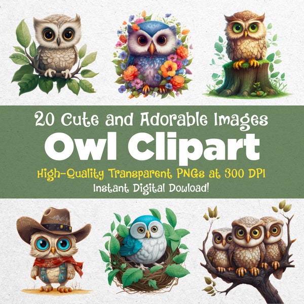 20 Super Cute Owl Clipart PNG Files – Perfect for Scrapbooking, Crafting and Product Merch