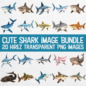 Adorable Shark Illustration Bundle: 20 High-Quality PNG Images of Assorted Sharks.