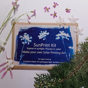 Scopri la magia con il nostro kit di stampa solare: l'esperienza cianotipica fai-da-te definitiva, formato A5, kit Sunprint