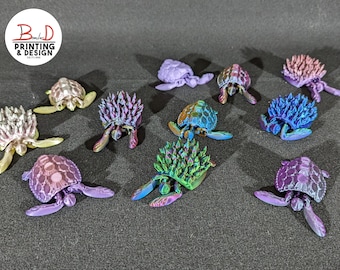 Sea Turtles