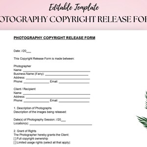 Modello di modulo di liberatoria per il copyright fotografico Accordo di trasferimento dei diritti fotografici PDF modificabile DOG