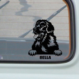 Custom Newfoundland Dog Decal: Car, Laptop, Hydroflask Vinyl Sticker