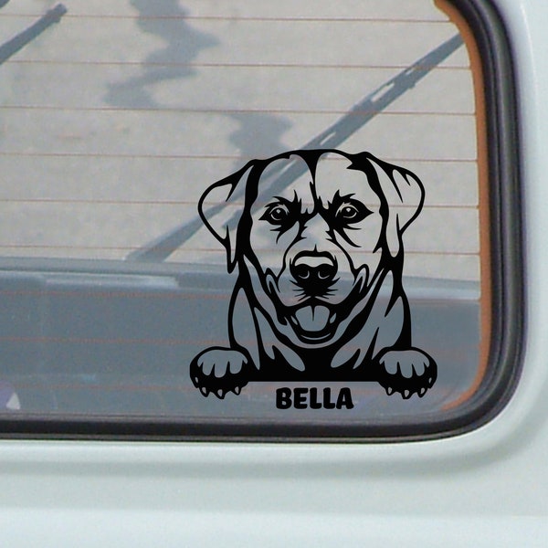 Lab truck decals - Etsy Nederland