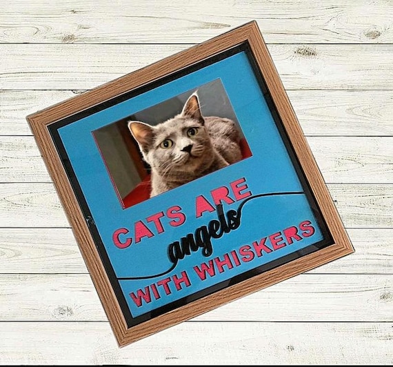 Angels and Whiskers/Cat PIcture Frame/Love of pets